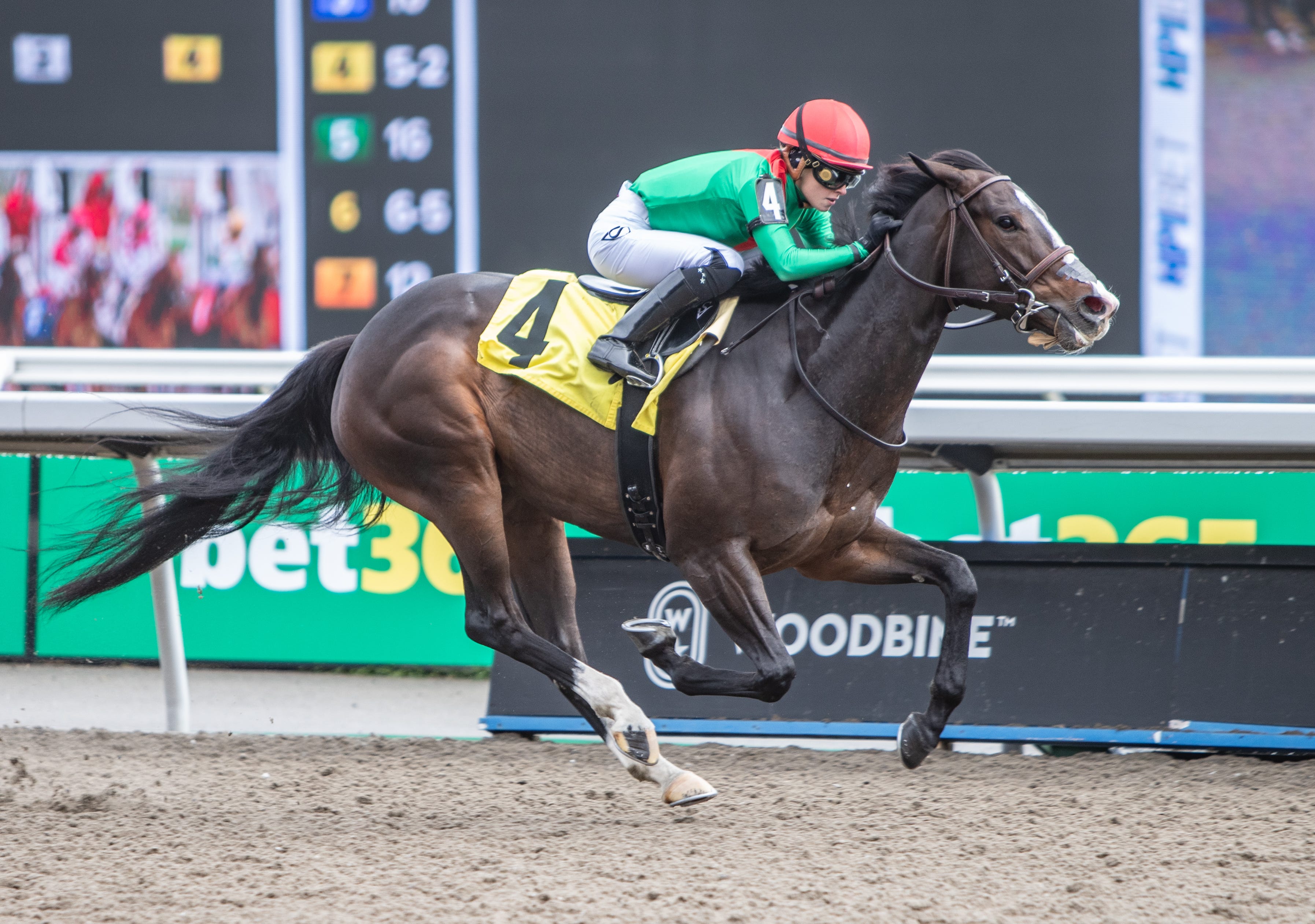 Proven on Tapeta, Lady Onyx steps up a level